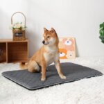 Four Seasons Universal Dog Bed Mat Removable Washable Dogs Pad Pet Special Kennels Accesorios for Small Medium Large Dogs Cats - Image 2