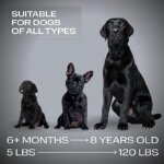 ABQP Ultrasonic Pet Dog Repeller Anti Barking Stop Bark Training Device High Power Dog Training Repellents With USB Rechargeable - Image 6