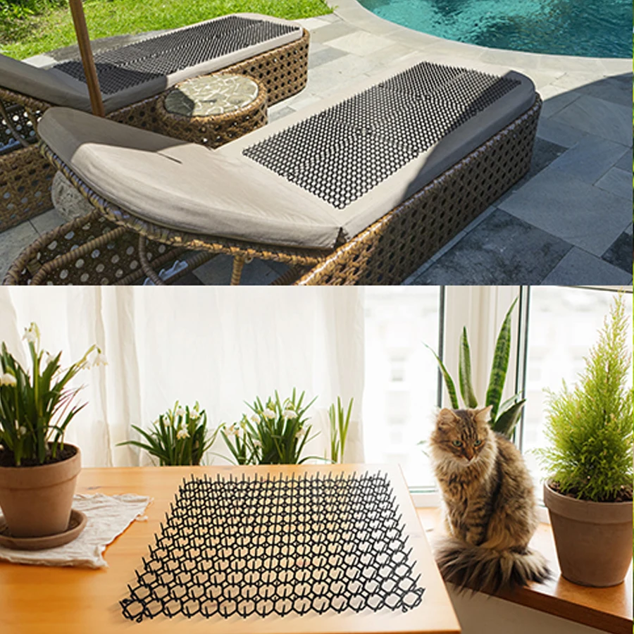 Cats Repeller Repellent Spike Indoor Outdoor All Seasons Anti Network Training Plastic Mat Keeping Away Dogs Protecting Plants Cats Repeller Repellent Spike Indoor Outdoor All Seasons Anti Network Training Plastic Mat Keeping Away Dogs Protecting Plants