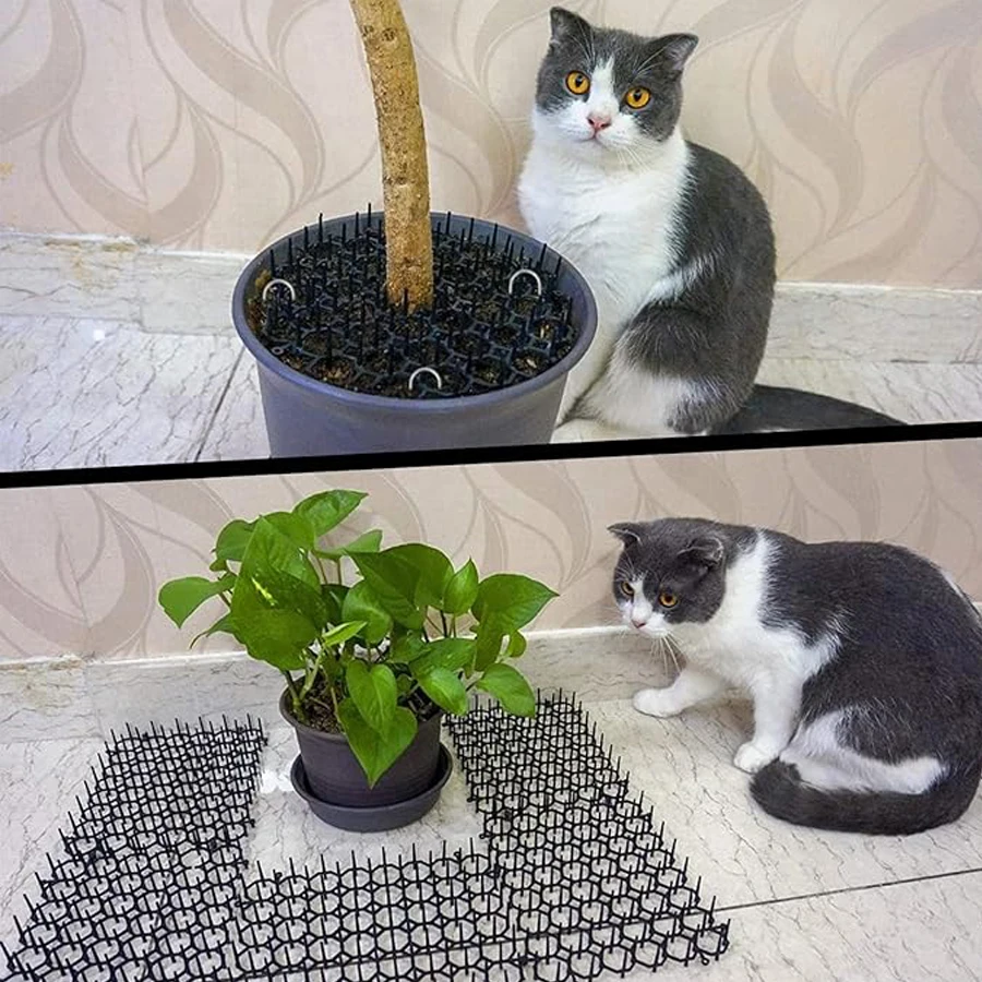 Cats Repeller Repellent Spike Indoor Outdoor All Seasons Anti Network Training Plastic Mat Keeping Away Dogs Protecting Plants Cats Repeller Repellent Spike Indoor Outdoor All Seasons Anti Network Training Plastic Mat Keeping Away Dogs Protecting Plants
