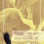 Professional Dog Whistle Training Effectively Stop Barking Hunting High-Frequency Pitch Recall-Dog Clicker Pet Obedience - Image 3