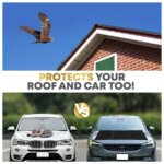 Cat Repeller Cats Repellent Plants Accessories Bird Kitchen Gadgets Exterior Scarecaper Supplies Spikes For Dog Scare Pigeons - Image 3