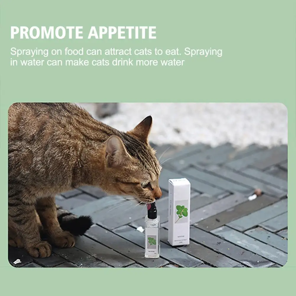 20/100ml Cat Catnip Spray Healthy Ingredients Catnip Spray For Kittens Cats Attractant Easy To Use Safe For Pets Gift For Pet