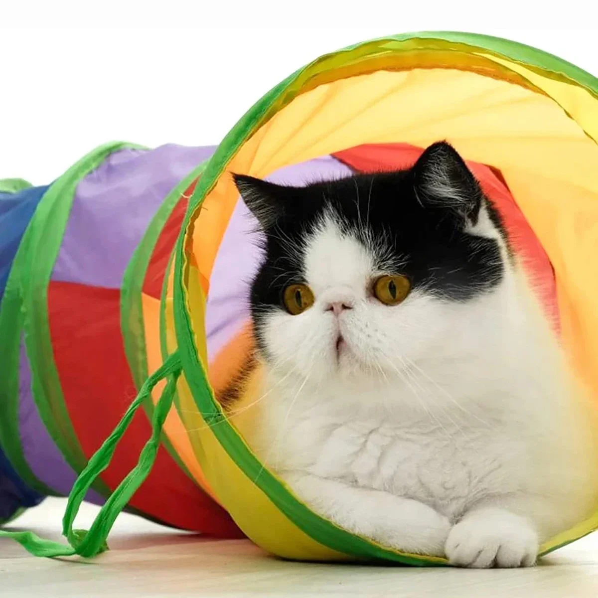 Cat RainbowTunnel Tube, Foldable Cat Toys, Cat Training, Fun Interactive Toys, Puppy Black Tunnel, Pet Supplies, Cat Accessories