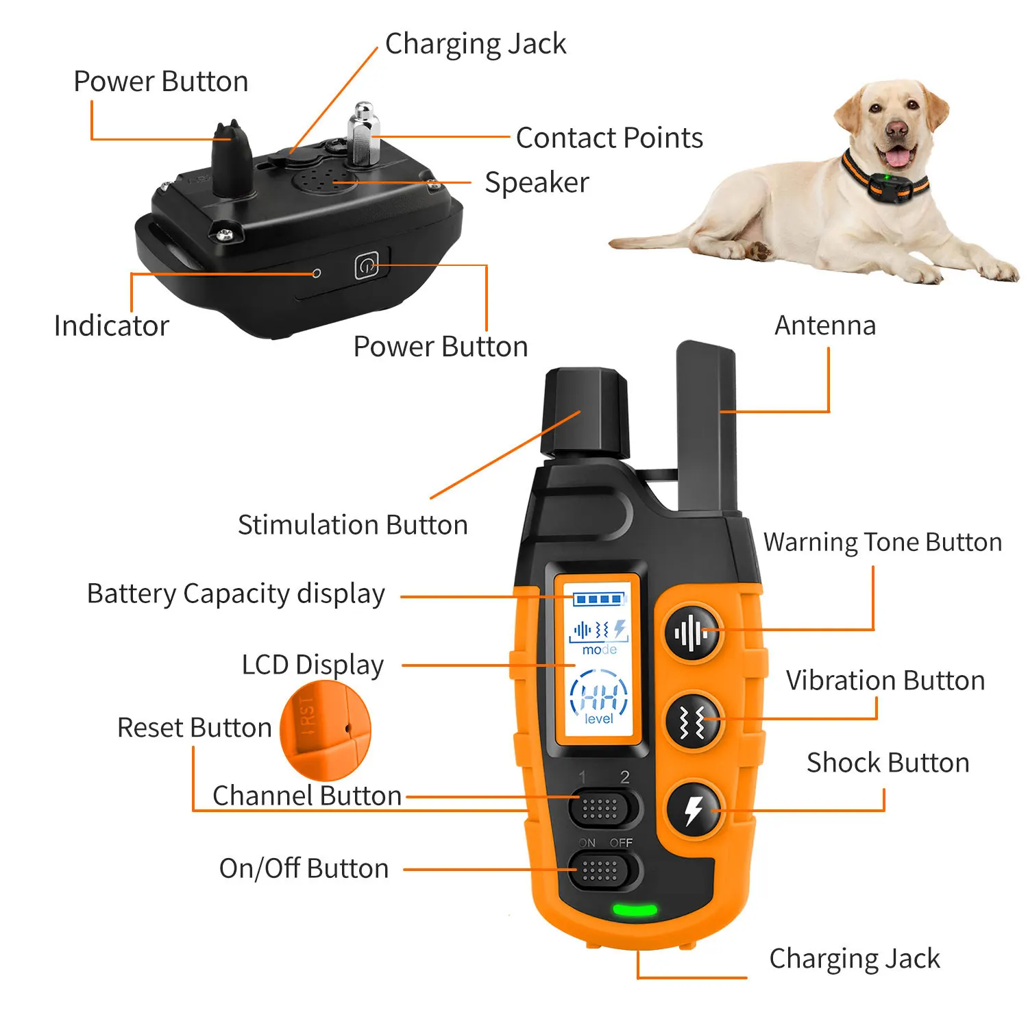 3300Ft Electric Dog Training Collar Remote Control Waterproof Pet BehaviorFor 5-120lbs Puppy With Shock Vibration 3300Ft Electric Dog Training Collar Remote Control Waterproof Pet BehaviorFor 5-120lbs Puppy With Shock Vibration