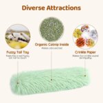 Catnip Toys Plush Cat Chew Toy Catnip Self-hi Bite Strip Pillow Teaser for Cats Pet Interactive Toys MWJ07 - Image 2