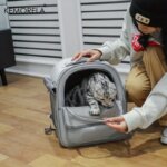 Large Capacity Breathable Mesh Portable Foldable Pet Carrier Backpack for Dog and Cat Outdoor Travel Camping Hiking Supplies - Image 3