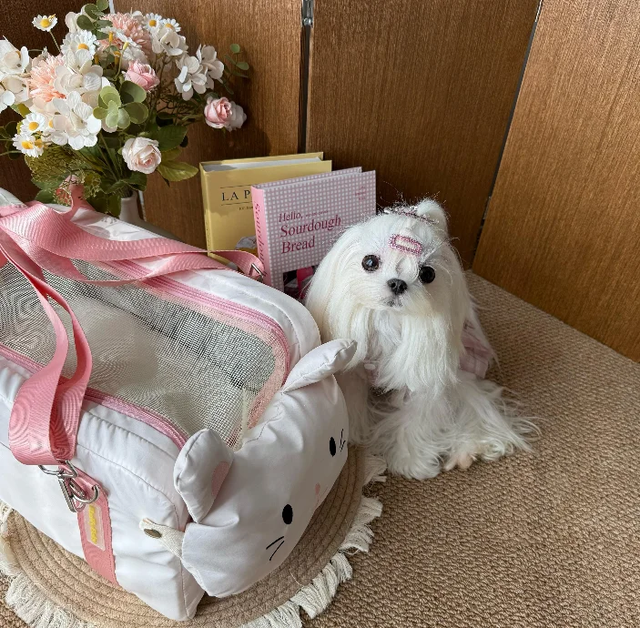 Pet Dog Car Seat Cat Carrier Booster Seat on Armrest Travel Bags for Cats Dogs with Easy Carrying Strap Travel Car Carrier