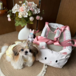 Pet Dog Car Seat Cat Carrier  Booster Seat on  Armrest Travel Bags for Cats Dogs with Easy Carrying Strap Travel Car Carrier - Image 3