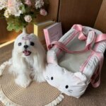 Pet Dog Car Seat Cat Carrier  Booster Seat on  Armrest Travel Bags for Cats Dogs with Easy Carrying Strap Travel Car Carrier - Image 2