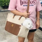 Dog Car Seat Dog Booster Car Seat Cat Carrier Bag Cat Bed for Small Dogs Cats Pet Car Seat with Pad and Straps for Dogs Cats - Image 6