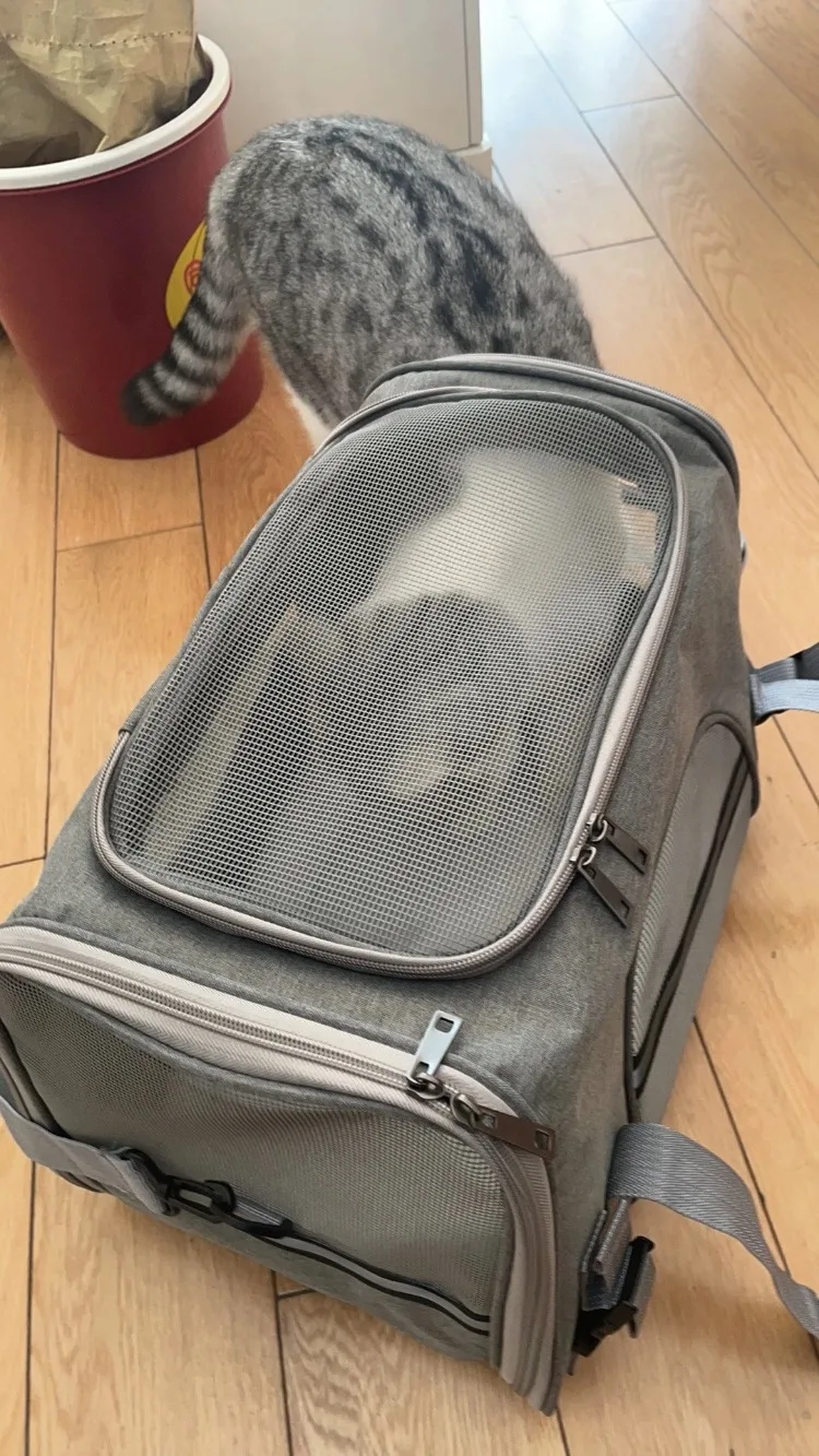 Pet Carrier Bag Foldable Small Dog Cat Carrying Out Bags Expansion Pet Travel Bag Mesh Breathable Expansion Crossbody Handbag