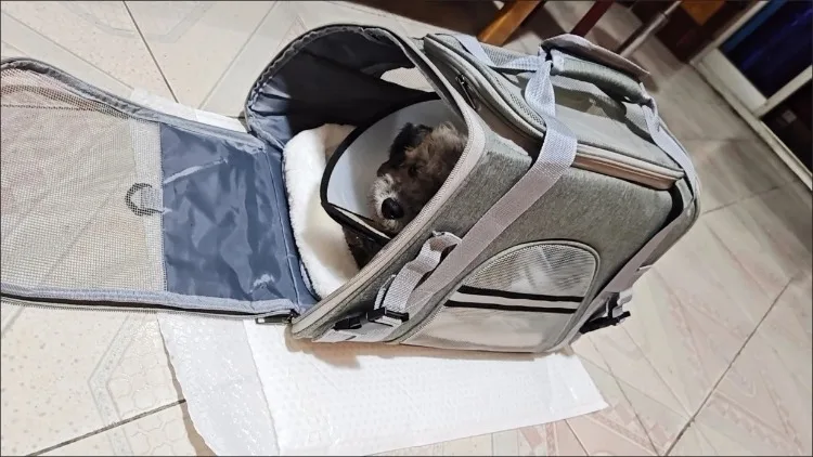 Pet Carrier Bag Foldable Small Dog Cat Carrying Out Bags Expansion Pet Travel Bag Mesh Breathable Expansion Crossbody Handbag