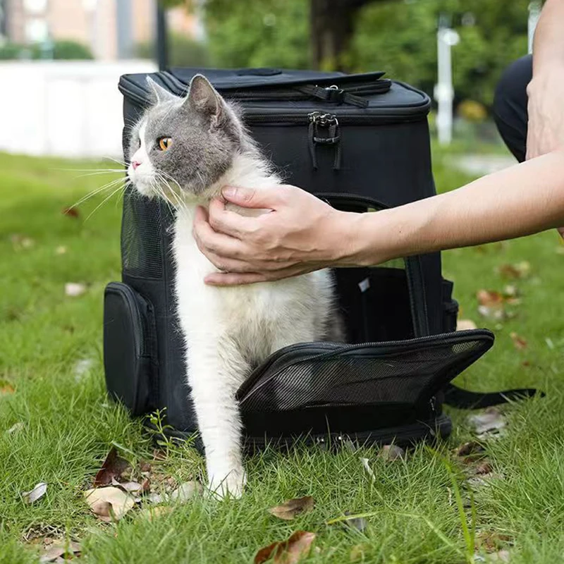 Pet Carrier Backpack Expandable for Cats Dogs Under 18 LB | Breathable Mesh Cat Backpack Carrier Bag | Foldable Dog Backpack Pet Carrier Backpack Expandable for Cats Dogs Under 18 LB | Breathable Mesh Cat Backpack Carrier Bag | Foldable Dog Backpack
