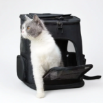 Pet Carrier Backpack Expandable for Cats Dogs Under 18 LB | Breathable Mesh Cat Backpack Carrier Bag | Foldable Dog Backpack - Image 5