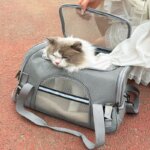 Cat Bags Portable Dog Carrier Bag Mesh Breathable Foldable Cats Carrier Bag Travel Breathable Transport Handbag Pet Travel Bags - Image 2
