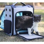 Portable Astronaut Travel Bag, Breathable Space Capsule, Expandable Carrier, Pet Backpack for Cat and Dog
