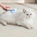 Cat brush for dogs to float hair accessories Blue cat short Muppet cleaning hair removal comb cat supplies - Image 2