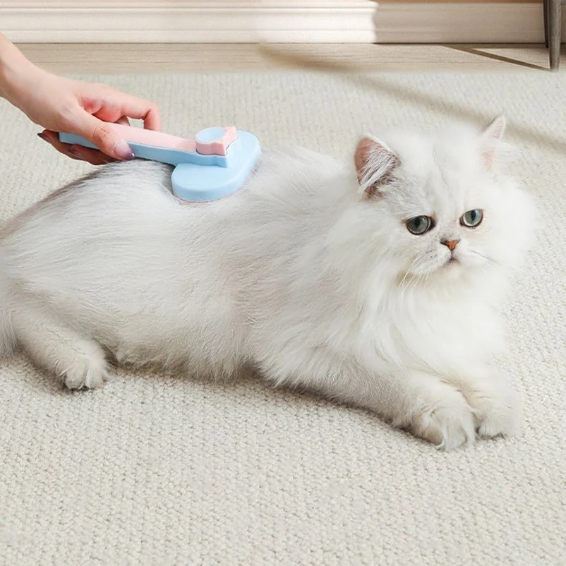 Cat brush for dogs to float hair accessories Blue cat short Muppet cleaning hair removal comb cat supplies