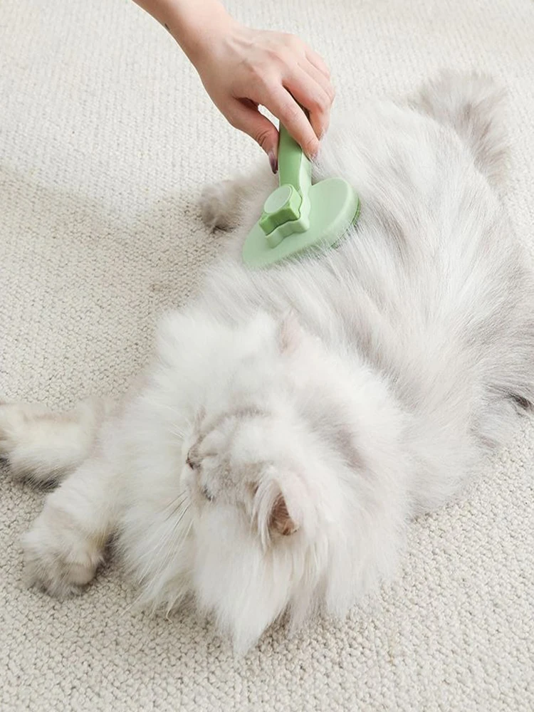 Cat brush for dogs to float hair accessories Blue cat short Muppet cleaning hair removal comb cat supplies