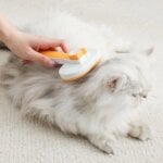 Cat brush for dogs to float hair accessories Blue cat short Muppet cleaning hair removal comb cat supplies - Image 4