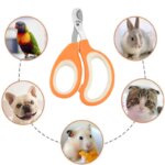 Professional Cat Nail Scissors Pet Dog Nail Clippers Toe Claw Trimmer Pet Grooming Supplies Products for Small Dogs Dog Gadgets - Image 5