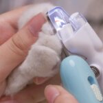 Pet nail clippers Dog Cat Nail Trimmer Labor-Saving Nail Clipper Convenient LED electric nail grinder dog grooming supplies - Image 4